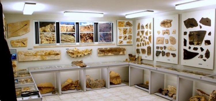 Muzeum Skamieniałości i Minerałów w Dubiecku